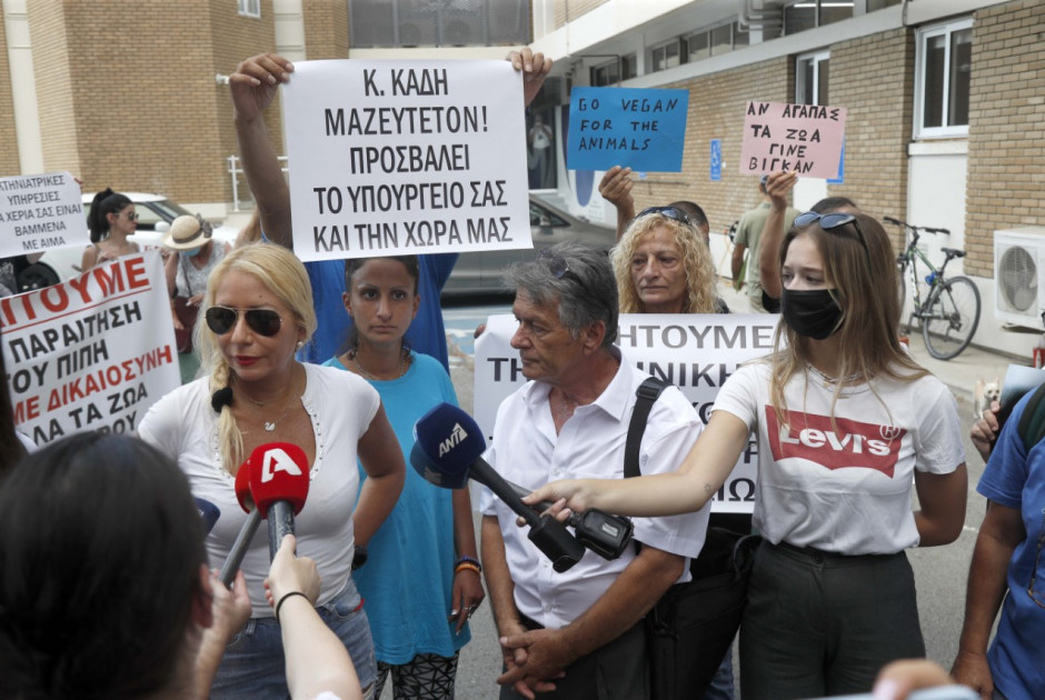 διαμαρτυρια γατος