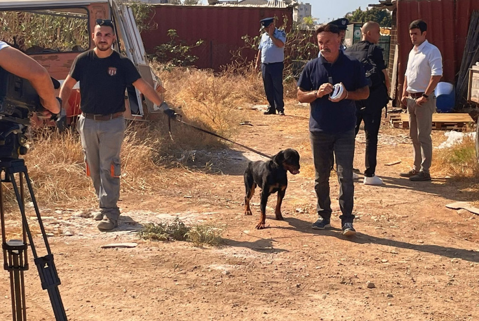 επίθεση σκύλου Λεμεσός
