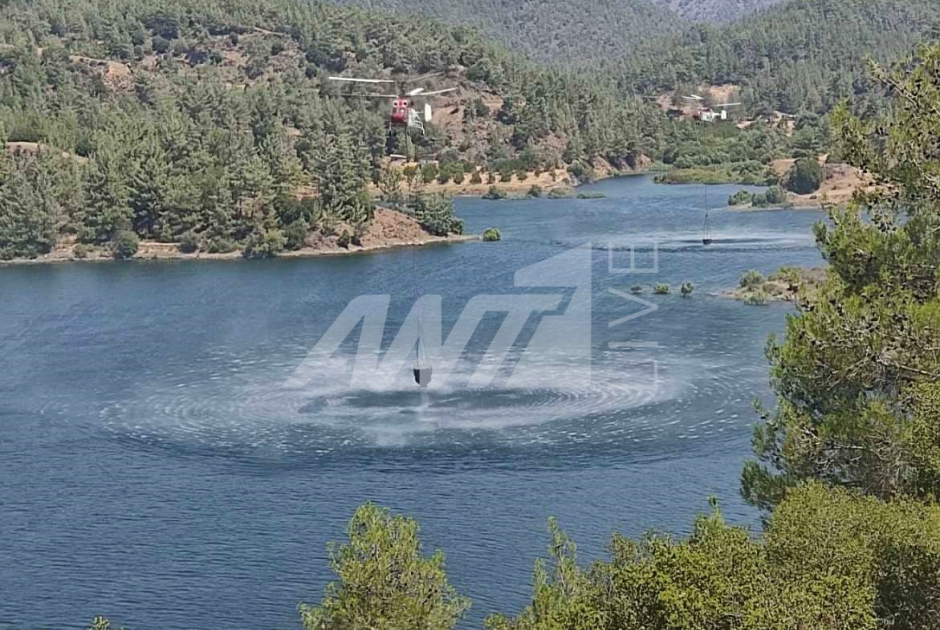καμοφ