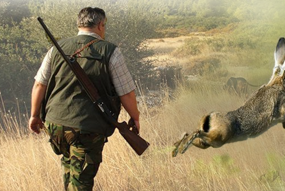 Με λιγότερους κυνηγούς ξεκινά η νέα κυνηγετική περίοδος