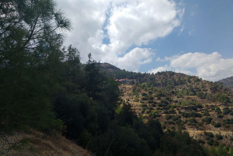 Τμήμα Δασών: Πιλοτική εφαρμογή ελεγχόμενης καύσης στο Δάσος Μαχαιρά