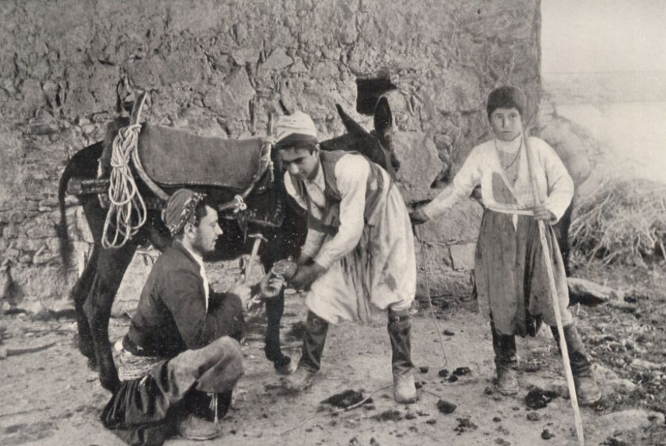 Πεταλιστές, γαιδούρι Κύπρος 1900