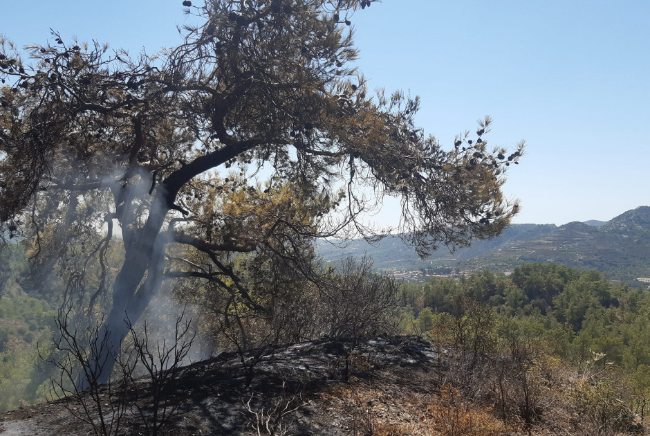 πυρκαγιά Πελένδρι