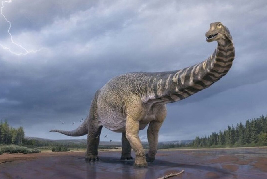 Τεχνητή νοημοσύνη: Αναγνωρίζει σε ποιο δεινόσαυρο ανήκουν ίχνη που εντοπίζονται