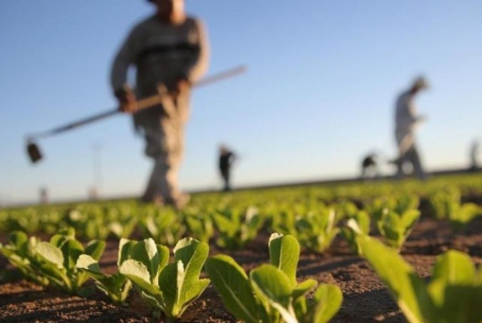 Επ. Προσφύγων: Επί τάπητος τα προβλήματα γεωργών που καλλιεργούν στη νεκρή ζώνη