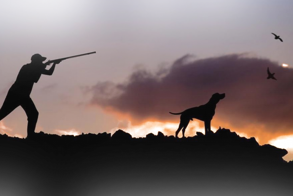 Σύλληψη 55χρονου για υπόθεση λαθροθηρίας στην επαρχία Μόρφου