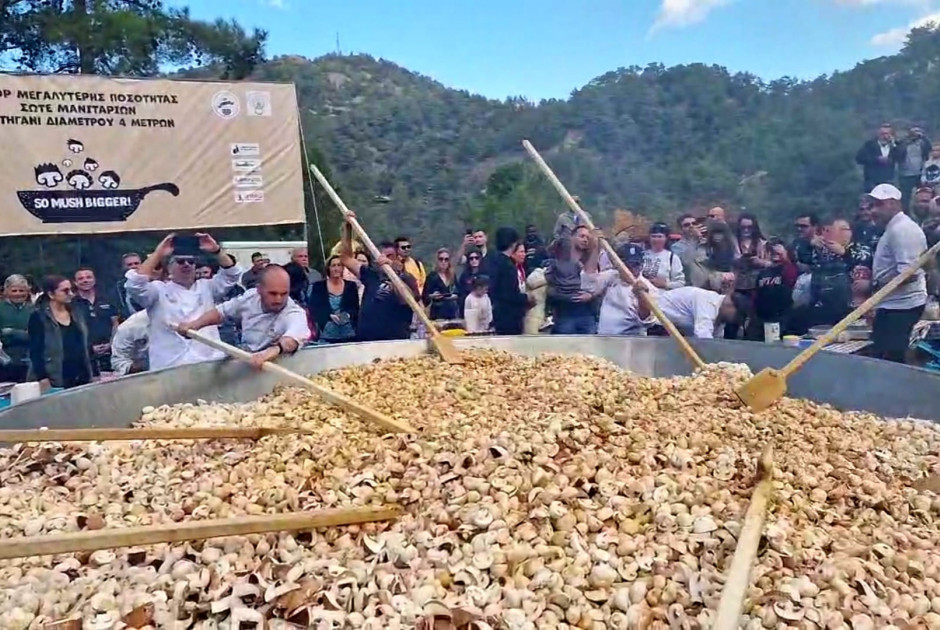 μανιτάρια.