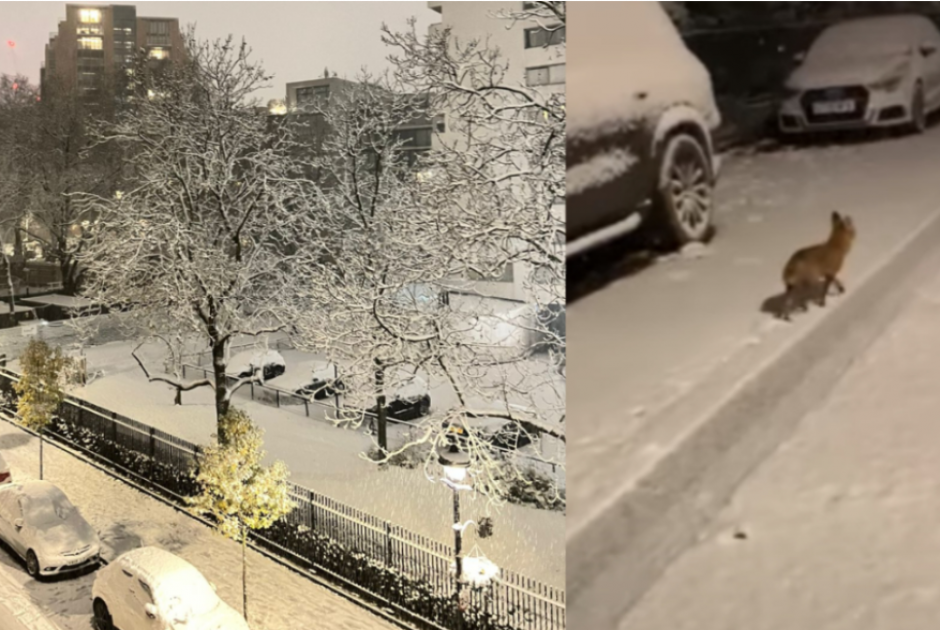 λονδιν