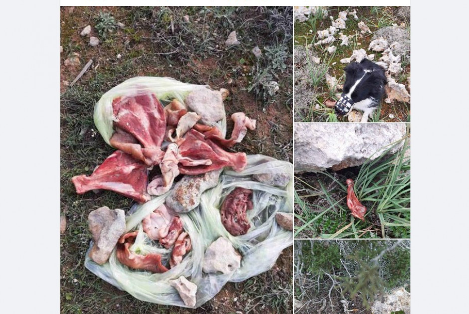 Υπηρεσία Θήρας
