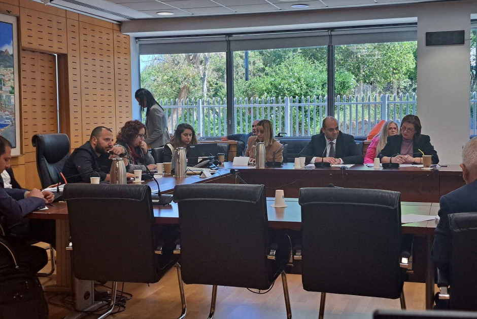 AD Hoc Επιτροπή για το Δημογραφικό