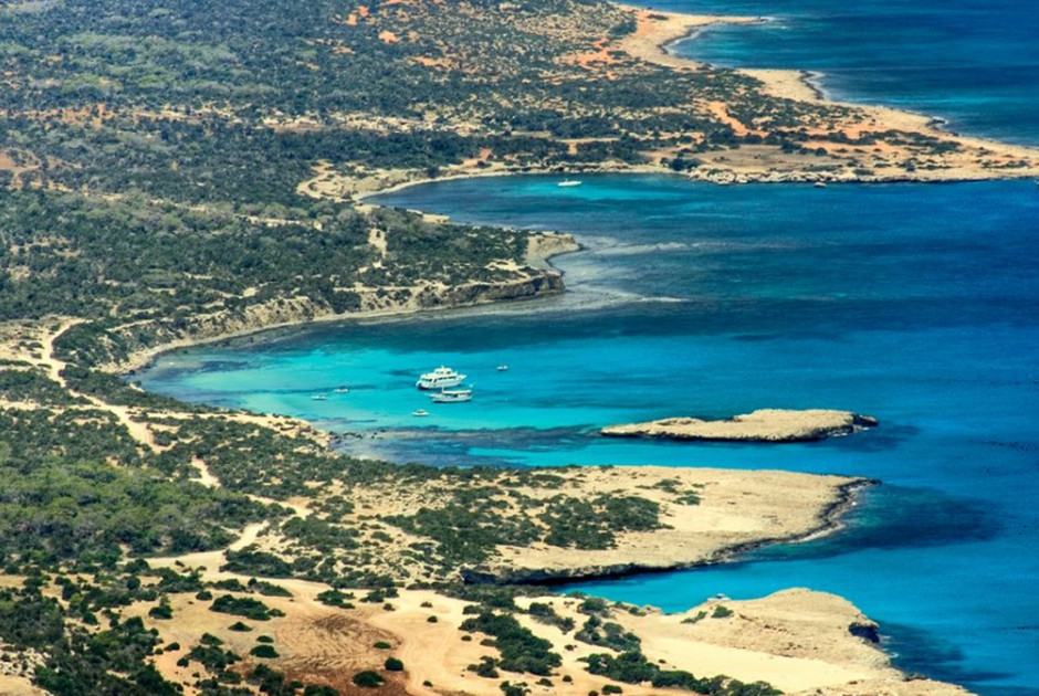 Οργανώσεις καταγγέλλουν το Τμήμα Δασών για Ακάμα