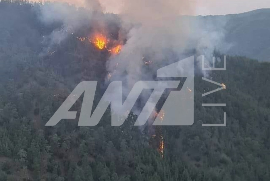 κρατικό δάσος Πάφου