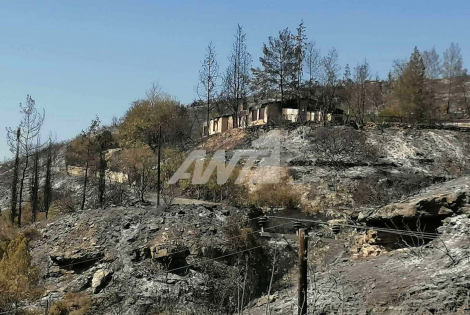 Απεσιά