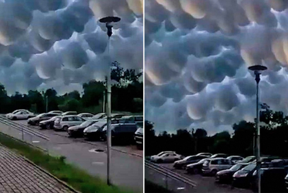 mammatus