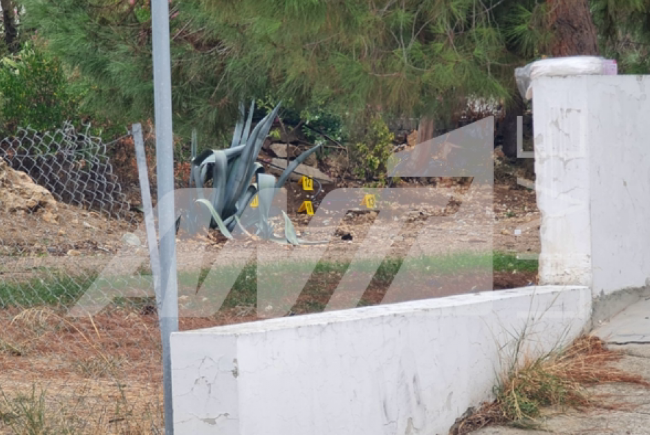 δολοφονία αλεξούι 8