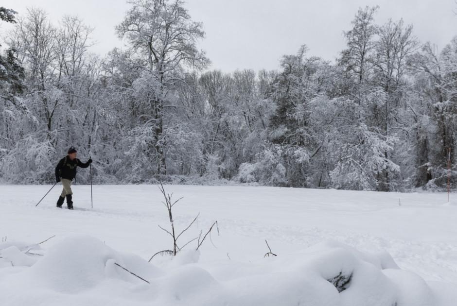 Βαρυχειμωνιά σαρώνει τις ΗΠΑ - Ακυρώσεις πτήσεων, άδεια ράφια στα σούπερ μάρκετ