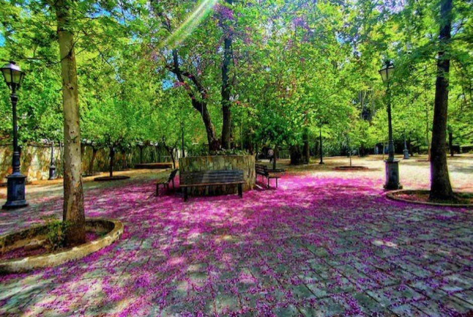 &Gamma;&Delta; &Upsilon;&Pi;&Epsilon;&Sigma;: &Pi;&alpha;&rho;ά&delta;&epsilon;&iota;&gamma;&mu;&alpha; &sigma;&upsilon;&nu;&delta;&upsilon;&alpha;&sigma;&mu;&omicron;ύ &phi;&upsilon;&sigma;&iota;&kappa;ή&sigmaf; &omicron;&mu;&omicron;&rho;&phi;&iota;ά&sigmaf; &kappa;&alpha;&iota; &sigma;ύ&gamma;&chi;&rho;&omicron;&nu;&eta;&sigmaf; &alpha;&nu;ά&pi;&tau;&upsilon;&xi;&eta;&sigmaf;