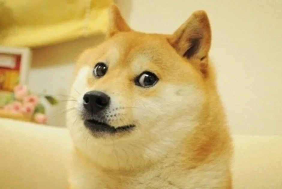 θξυτ