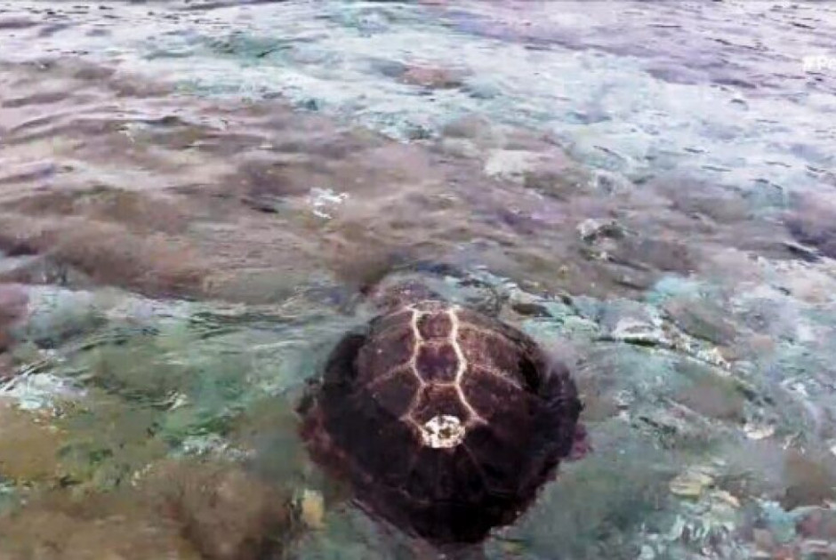 κθυ