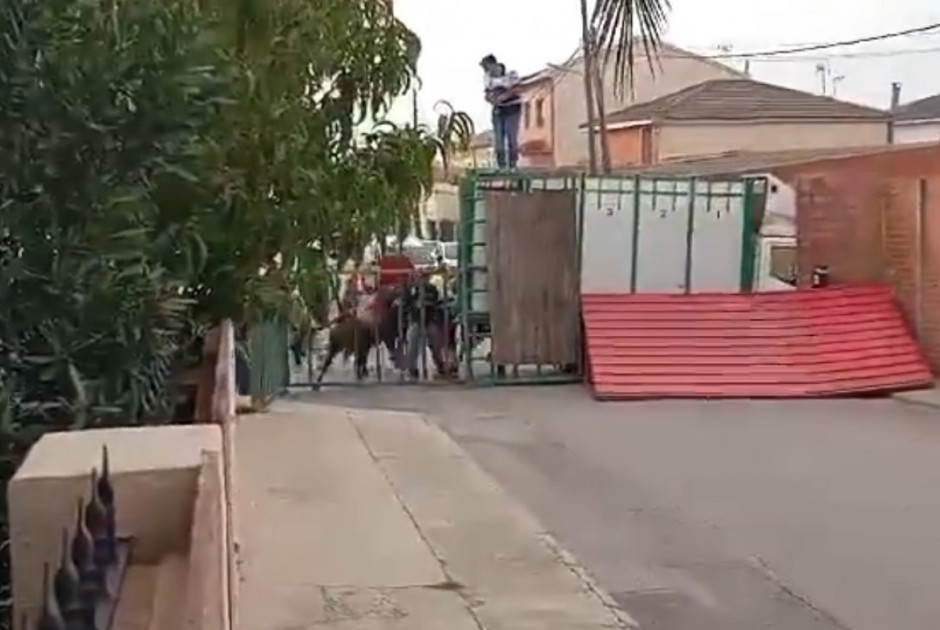 ξτυ