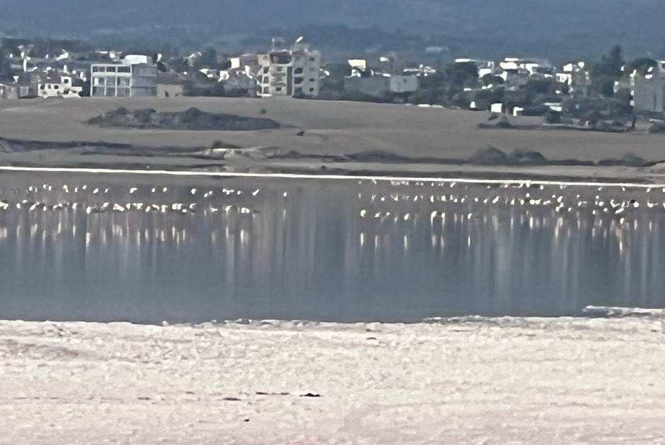 ΚΘΥ