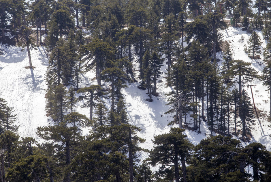 Προσοχή για οδηγούς και επισκέπτες - Πυκνή τροχαία κίνηση στο Τρόοδος