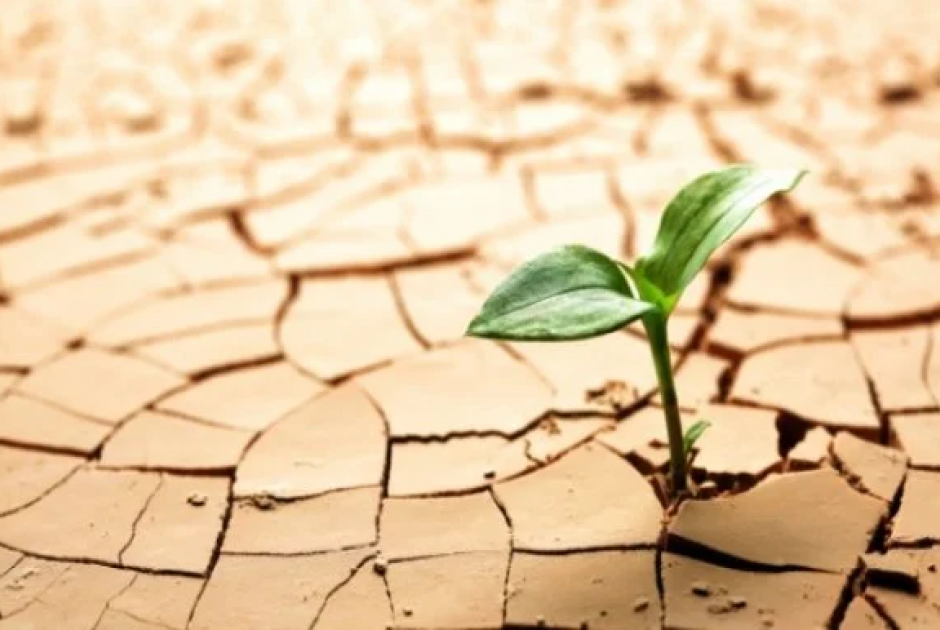 Ολοκληρώθηκε η καταβολή ενισχύσεων λόγω ανομβρία σε 6.620 δικαιούχους