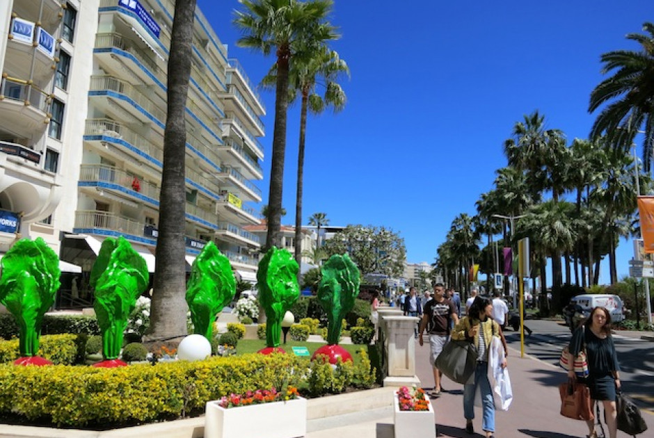 Ένας άνδρας τραυματίστηκε σοβαρά στις Κάννες από την πτώση ενός φοίνικα
