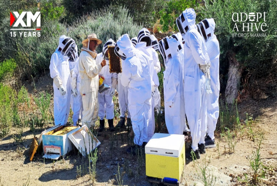 Η XM υιοθετεί κυψέλες μελισσών, στηρίζοντας έναν κρίσιμο κρίκο που απειλείται στην Κύπρο
