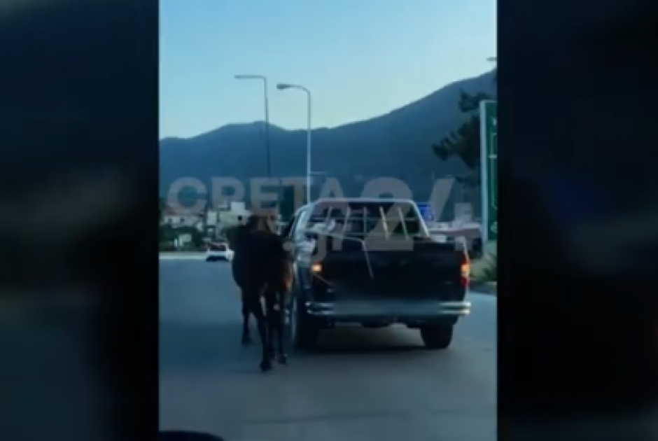 Εικόνες ντροπής: Οδηγός έδεσε άλογο με σχοινί και το έσερνε με αγροτικό