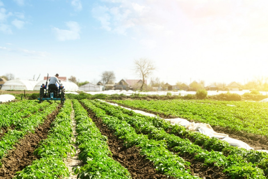 Υπουργικό: Ενέκρινε στήριξη €1 εκ. σε γεωργούς για μείωση ενεργειακού κόστους λόγω ανομβρίας