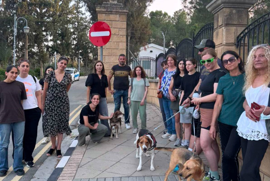 Επιστολή προς τον ΠτΔ για παρέμβασή του στην ευθανασία των τριών σκυλιών