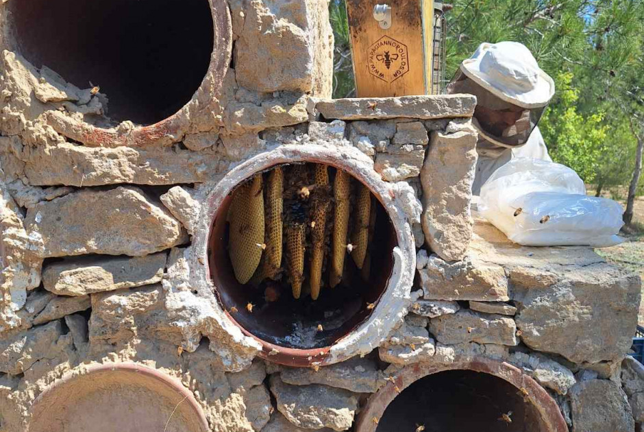 Μόνιμες κάτοικοι οι μέλισσες στο πρώτο θεματικό πάρκο μελισσοκομίας στο Πάρκο Αθαλάσσας