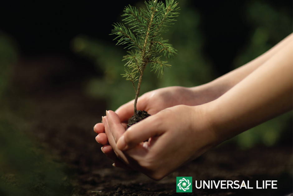 Η Universal Life στηρίζει την αναδάσωση της Κύπρου: Μια πράξη φροντίδας για το περιβάλλον και τις επ