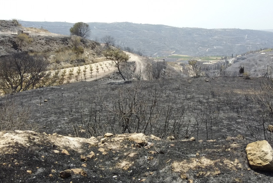 Ζωή από την αρχή πάνω στα καμένα – Συγκλονίζουν οι ανθρώπινες ιστορίες (ΒΙΝΤΕΟ)