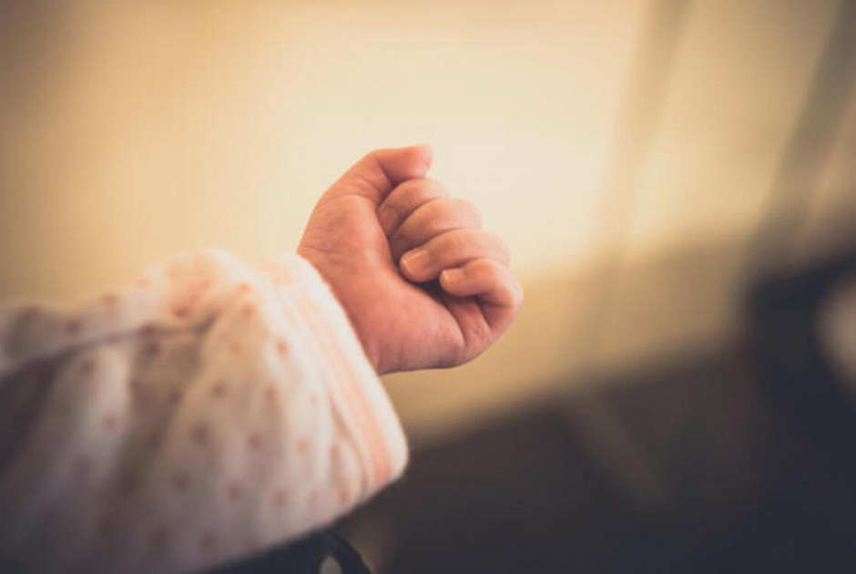 Ελλάδα: Νεκρό βρέφος βρέθηκε από τον πατέρα και την θεία του - Ζήτησαν βοήθεια από κτηνιατρείο