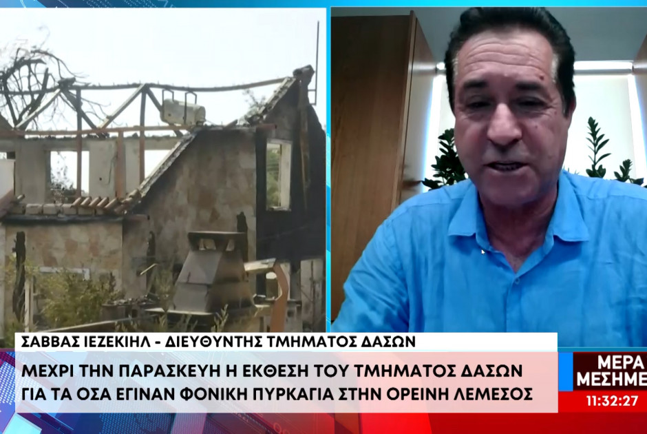 Μέχρι την Παρασκευή η έκθεση του Τμήματος Δασών για τα όσα έγιναν στη φονική πυρκαγιά (ΒΙΝΤΕΟ)