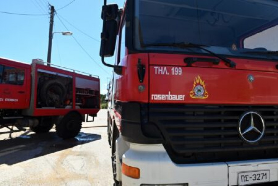 Φωτιά σε δάσος στο Νεοχώρι 500 μέτρα από τα σύνορα με Αλβανία
