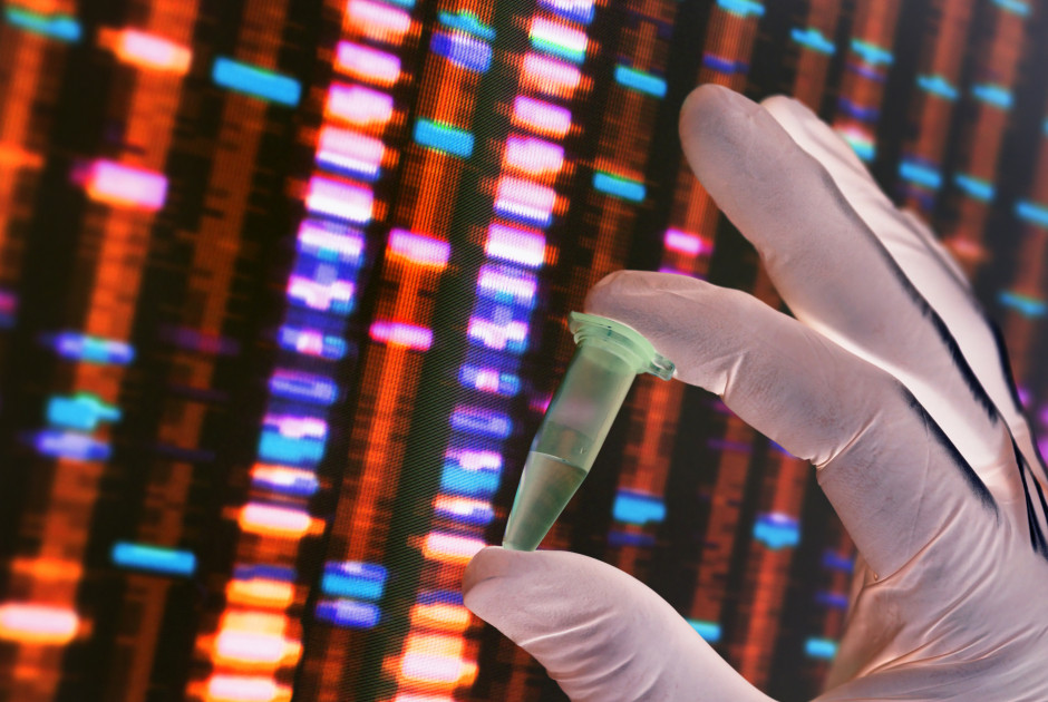 &Alpha;&nu;ά&lambda;&upsilon;&sigma;&eta; DNA &epsilon;&nu;&tau;ό&pi;&iota;&sigma;&epsilon; &omicron;&iota;&kappa;&omicron;&gamma;έ&nu;&epsilon;&iota;&alpha; &pi;&omicron;&upsilon; &alpha;&gamma;&nu;&omicron;&omicron;ύ&nu;&tau;&alpha;&nu; &alpha;&pi;ό &tau;&omicron; 1958