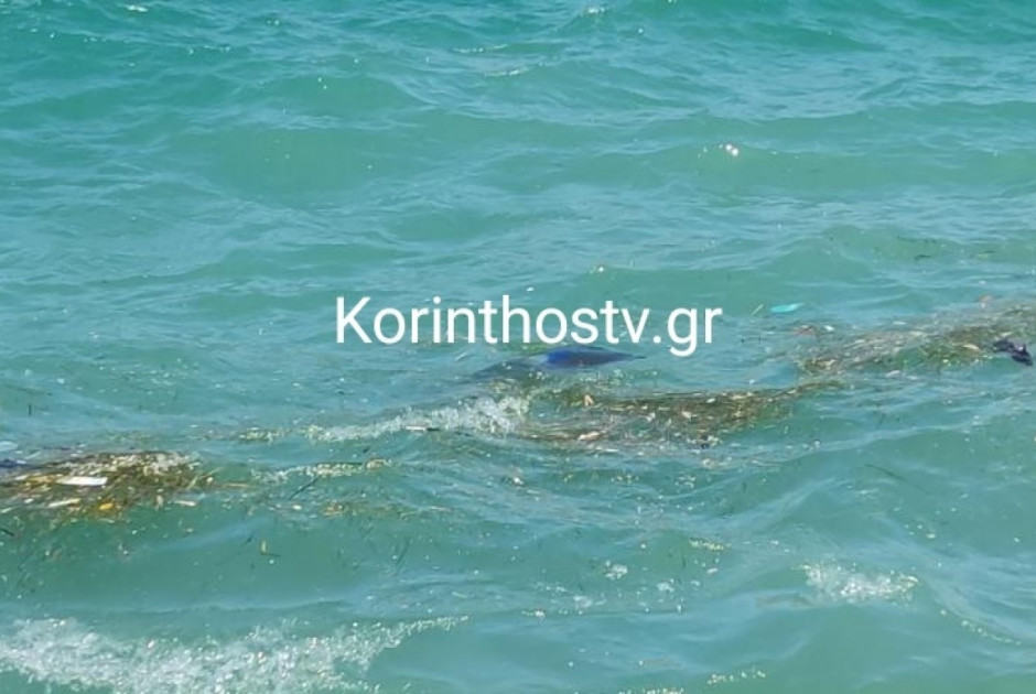 Οδηγός έπεσε με το αυτοκίνητο στη θάλασσα