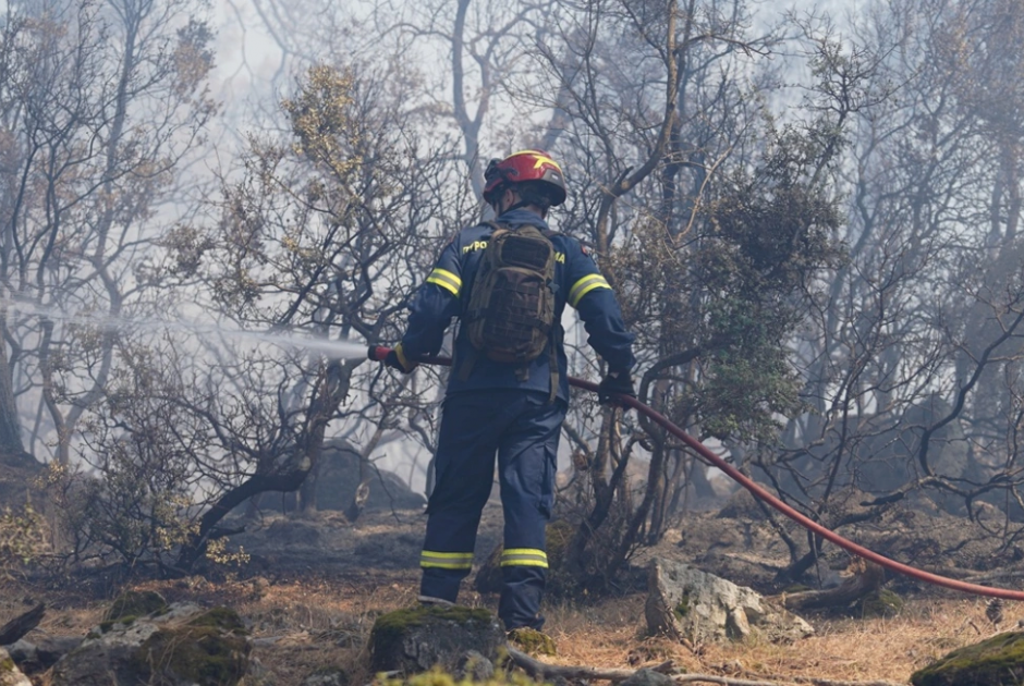 57χρονος ομολόγησε τέσσερις εμπρησμούς στη Μυτιλήνη – Κίνητρό του… η αντεκδίκηση