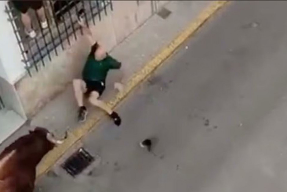 Ταύρος επιτέθηκε σε 57χρονο και τον σκότωσε