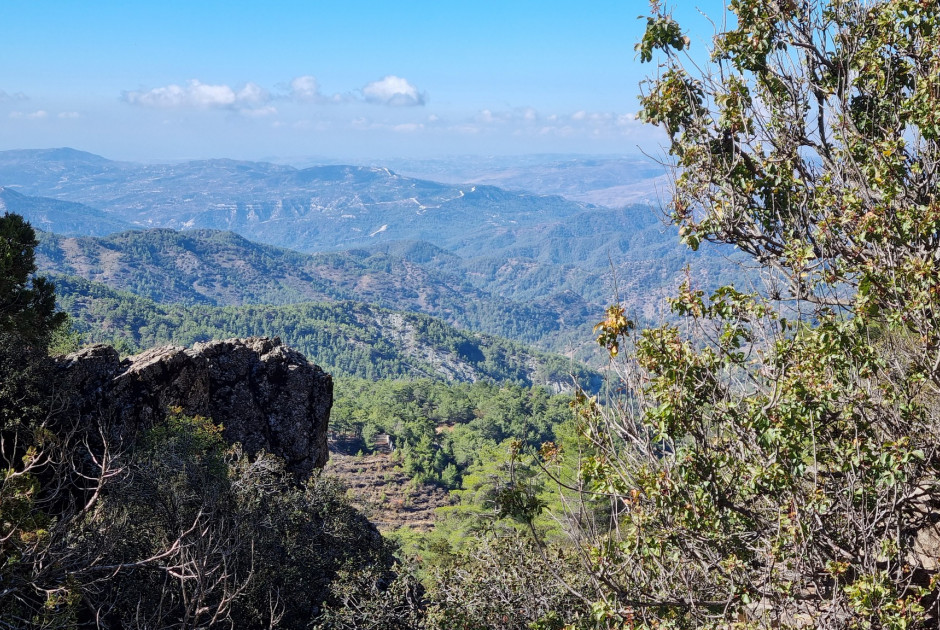 Η νέα περίοδος για το επιδημητικό θήραμα ξεκινά την Κυριακή 2 Νοεμβρίου – Όλες οι οδηγίες για ασφάλεια και προστασία της φύσης