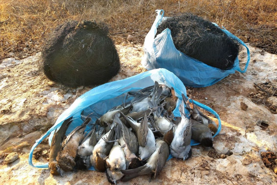Βαρύ πρόστιμο σε 55χρονο για λαθροθηρία και εμπορία αμπελοπουλιών