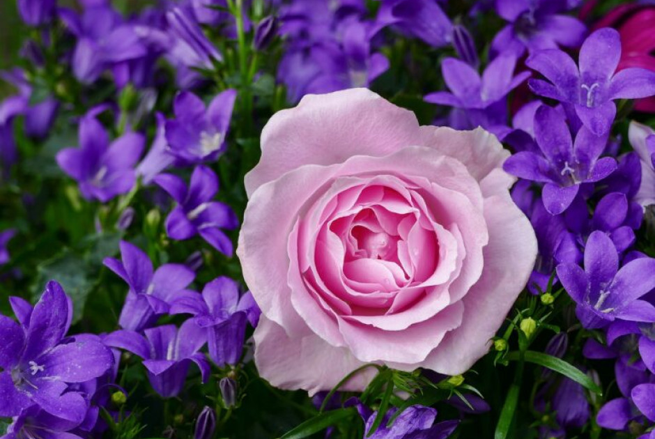 Ποιοι γιορτάζουν σήμερα, 11 Οκτωβρίου 2025