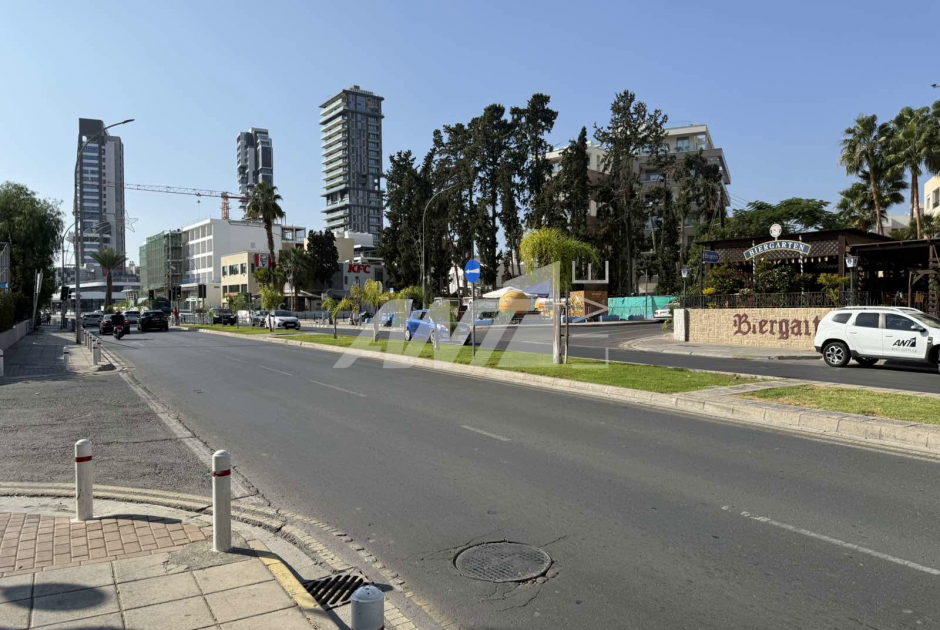 Φόνος 30χρονης: Το θύμα δέχθηκε χτυπήματα με πρωτοφανές μένος (ΒΙΝΤΕΟ)