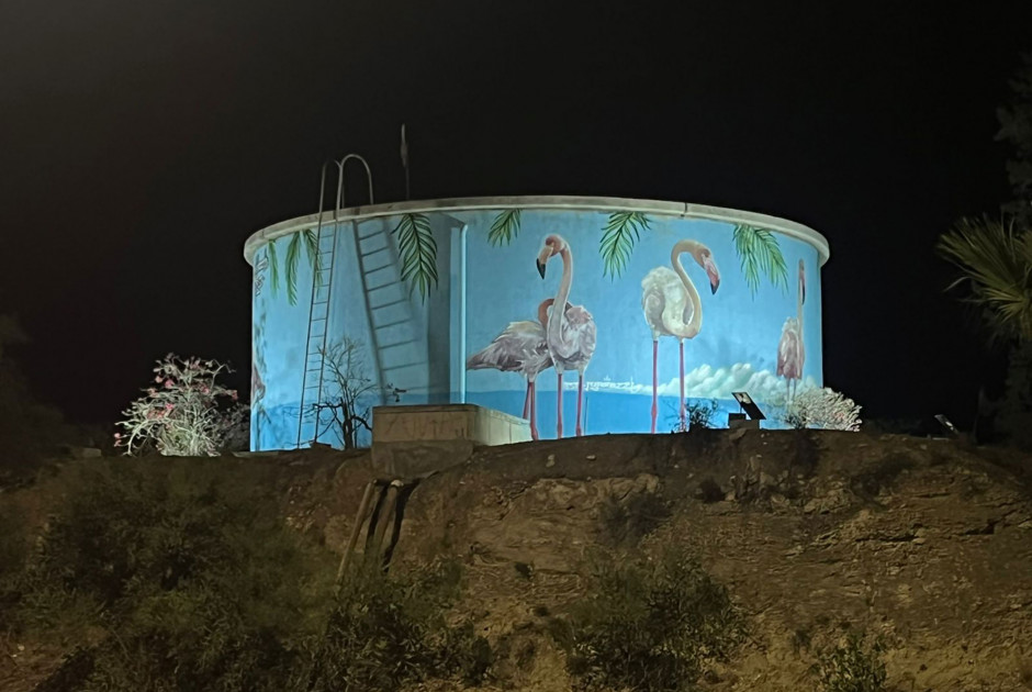 Με εικόνες φλαμίνγκο αναβαθμίστηκε το ντεπόζιτο της Αλυκής Λάρνακας