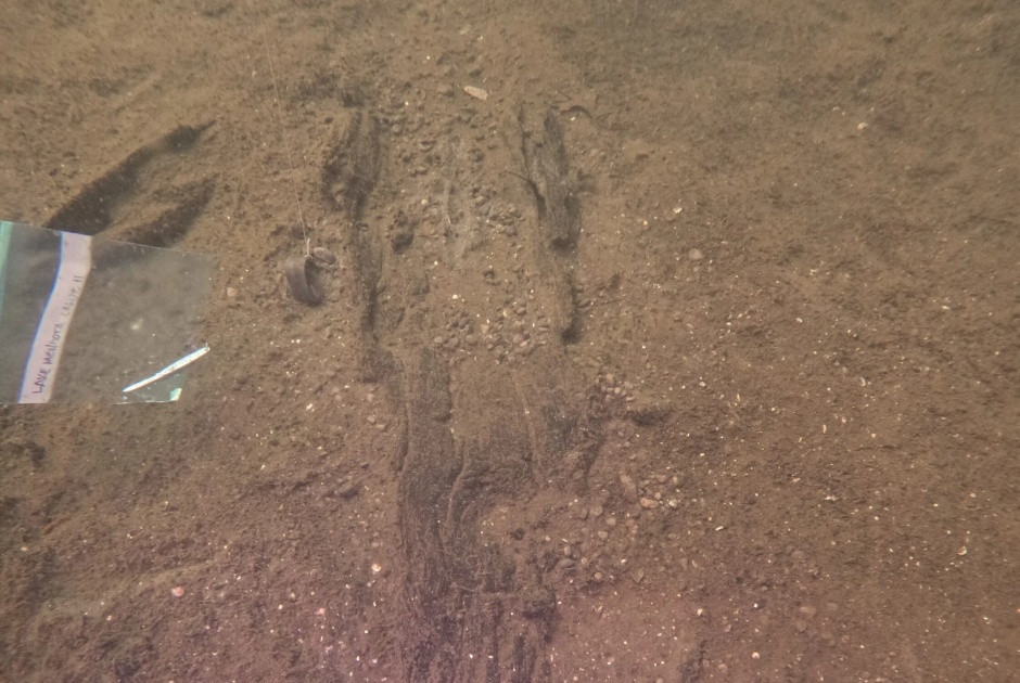 Ένα προϊστορικό… πάρκινγκ ήρθε στο φως στις όχθες μιας λίμνης του Ουινσκόνσιν