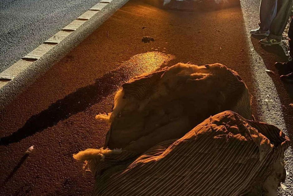 Σύγκρουση οχήματος με στρώμα: Έκκληση οδηγού - «Κινδυνεύουν ζωές»