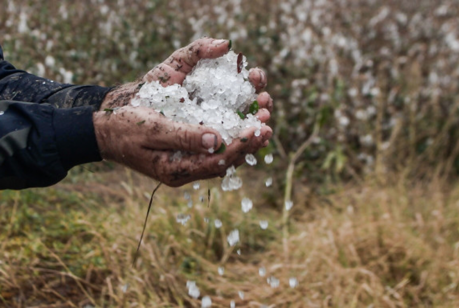 Αποζημιώσεις σε γεωργούς για ζημιές από χαλάζι
